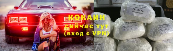 ГАЛЛЮЦИНОГЕННЫЕ ГРИБЫ Гусев